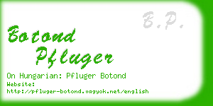 botond pfluger business card